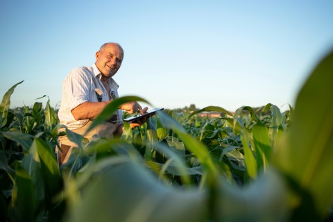 Nova lei do agronegócio beneficia pequenos e médios produtores rurais com retornos financeiros