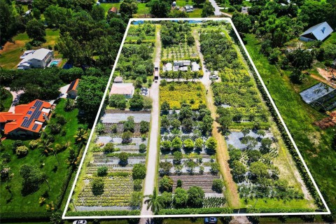 Área rural da Flórida é opção para agricultores brasileiros