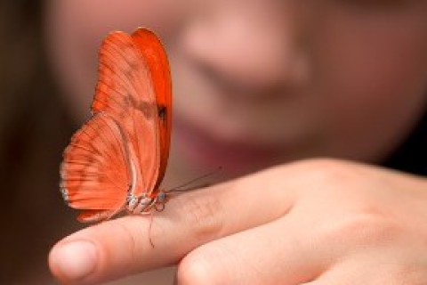 Brasil fortalece compromisso global no mês de conscientização sobre doenças raras