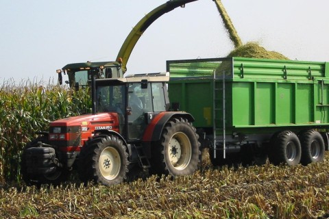 Goiás ganha protagonismo nacional no cultivo de grãos
